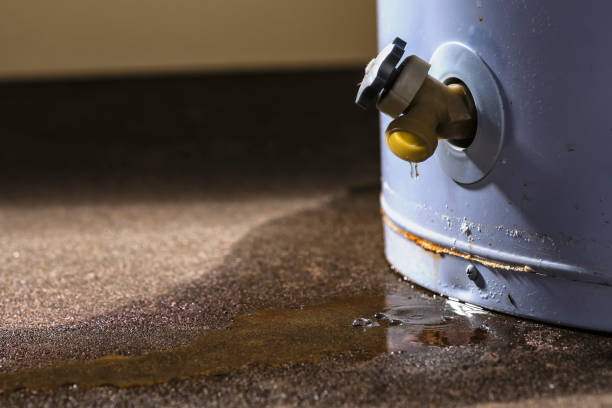 Best Flood restoration services  in Mcfarland, WI