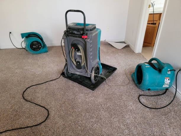 Best Ceiling water damage repair  in Mcfarland, WI