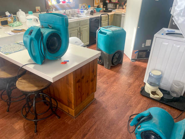 Best Water damage contractors near me  in Mcfarland, WI