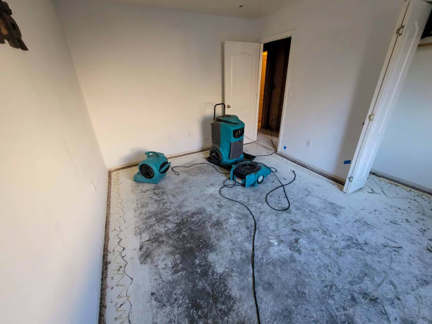 Best Fire Damage Restoration  in Mcfarland, WI