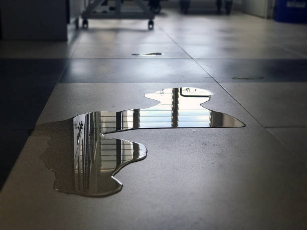 Best Water damage restoration near me  in Mcfarland, WI