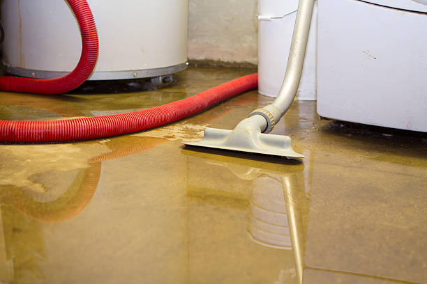 Best Water damage restoration experts  in Mcfarland, WI