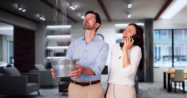 Best Basement water damage restoration  in Mcfarland, WI
