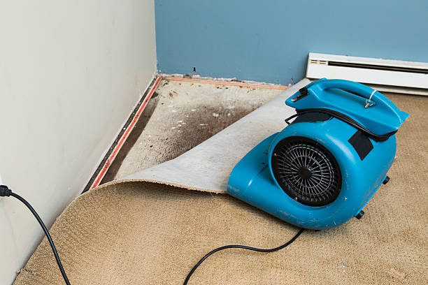 Best Carpet water damage restoration  in Mcfarland, WI